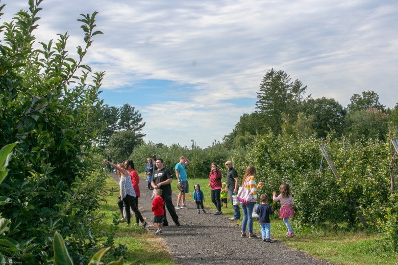 Families enjoying a nice day out at Russels Orchad in Gloucester, MA.